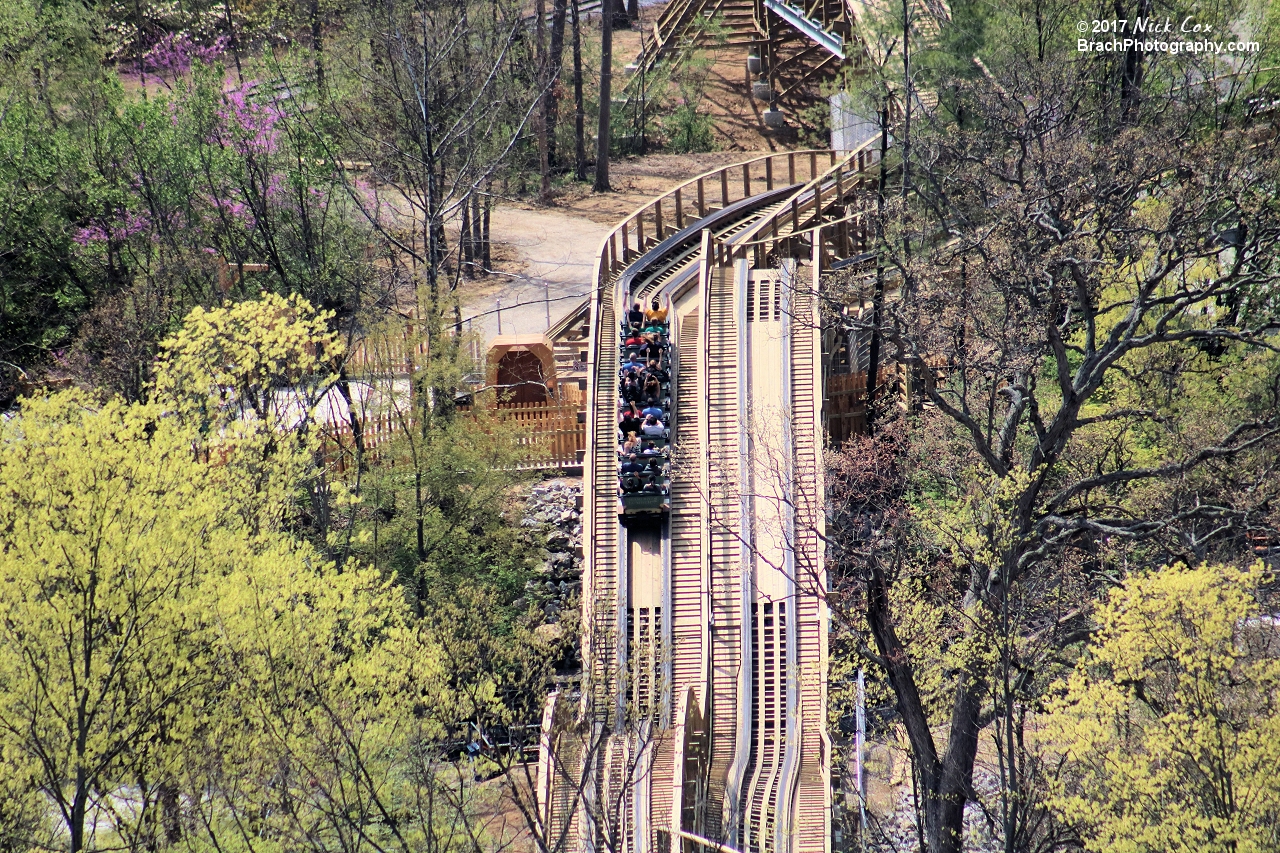 A train headed out in the woods.