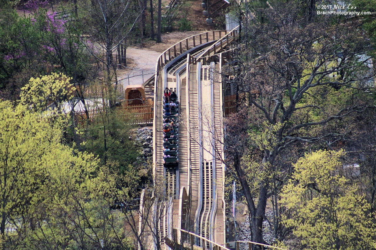 The train headed out in the woods.