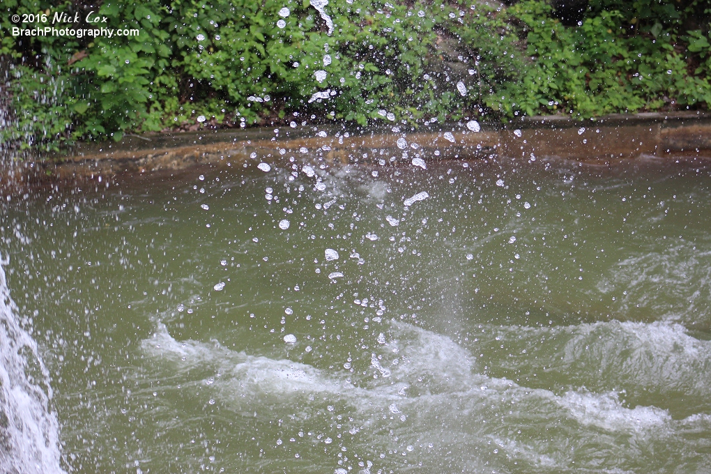 The water geysers.