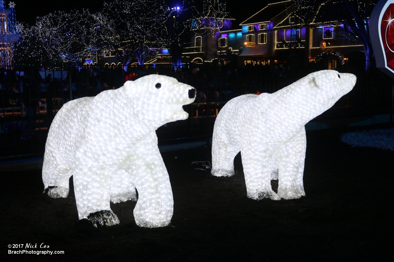 Polar bears.