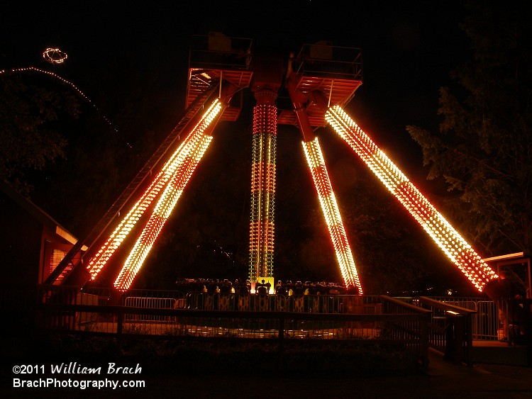 Fandango in lights at night.