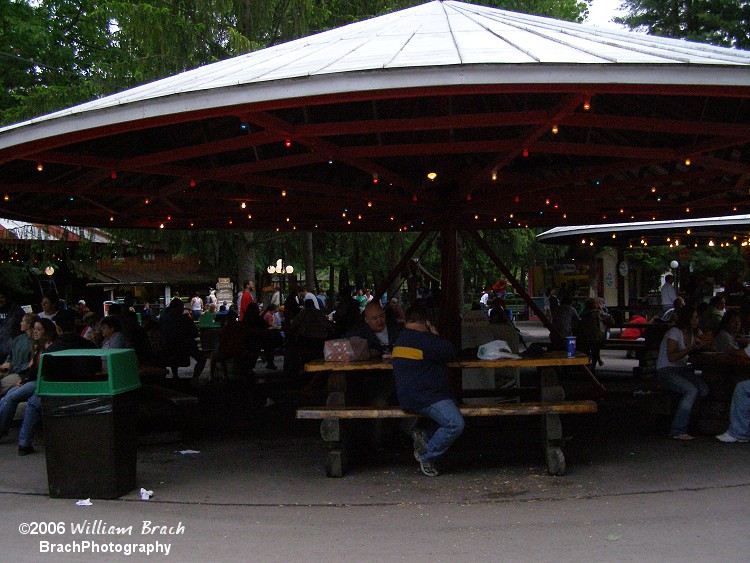 This huge canopy spins to change the lighting over your plates.