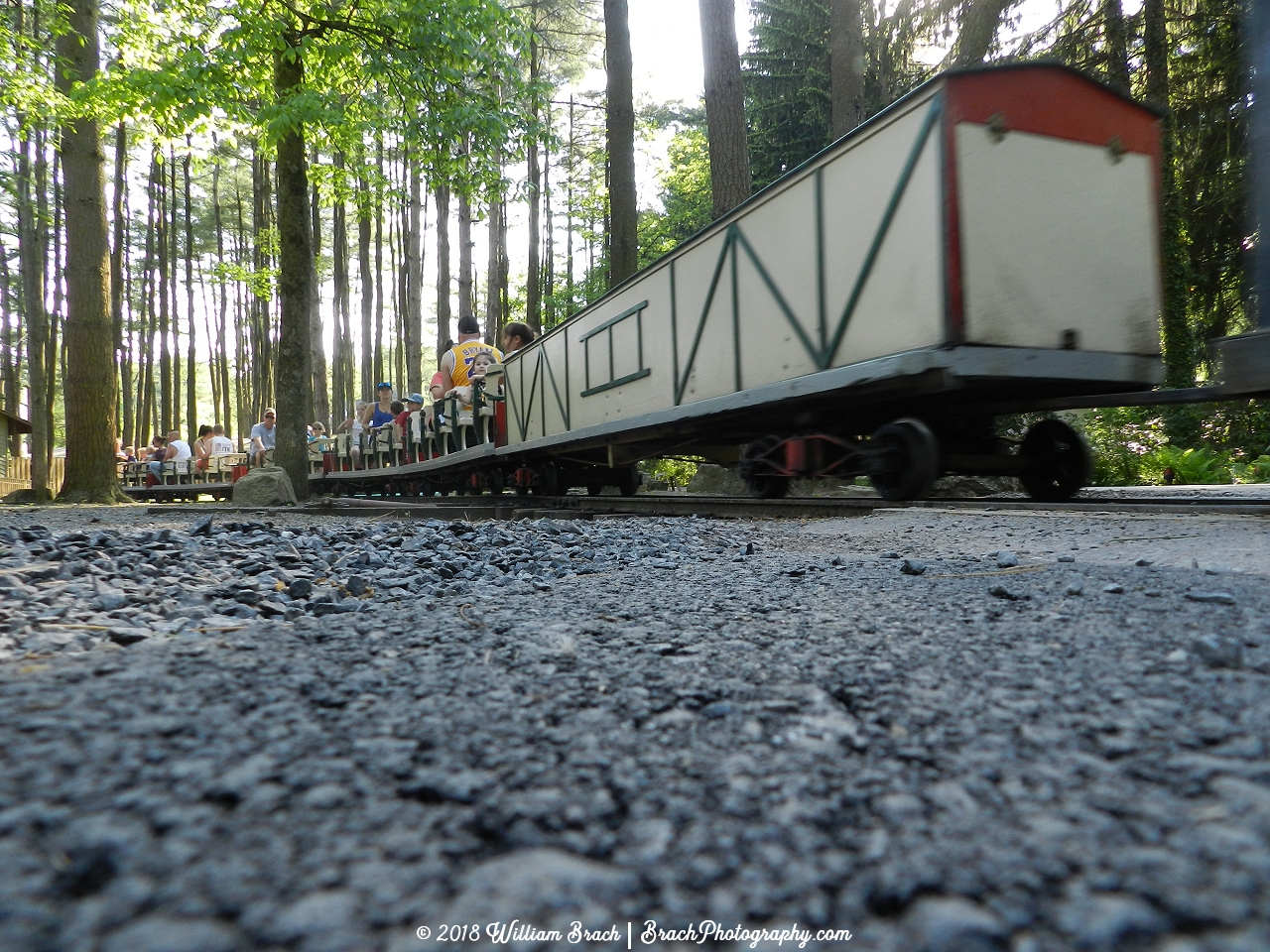 Train rolling by the crossing.