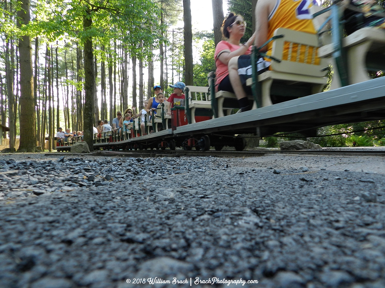 Train rolling by the crossing.