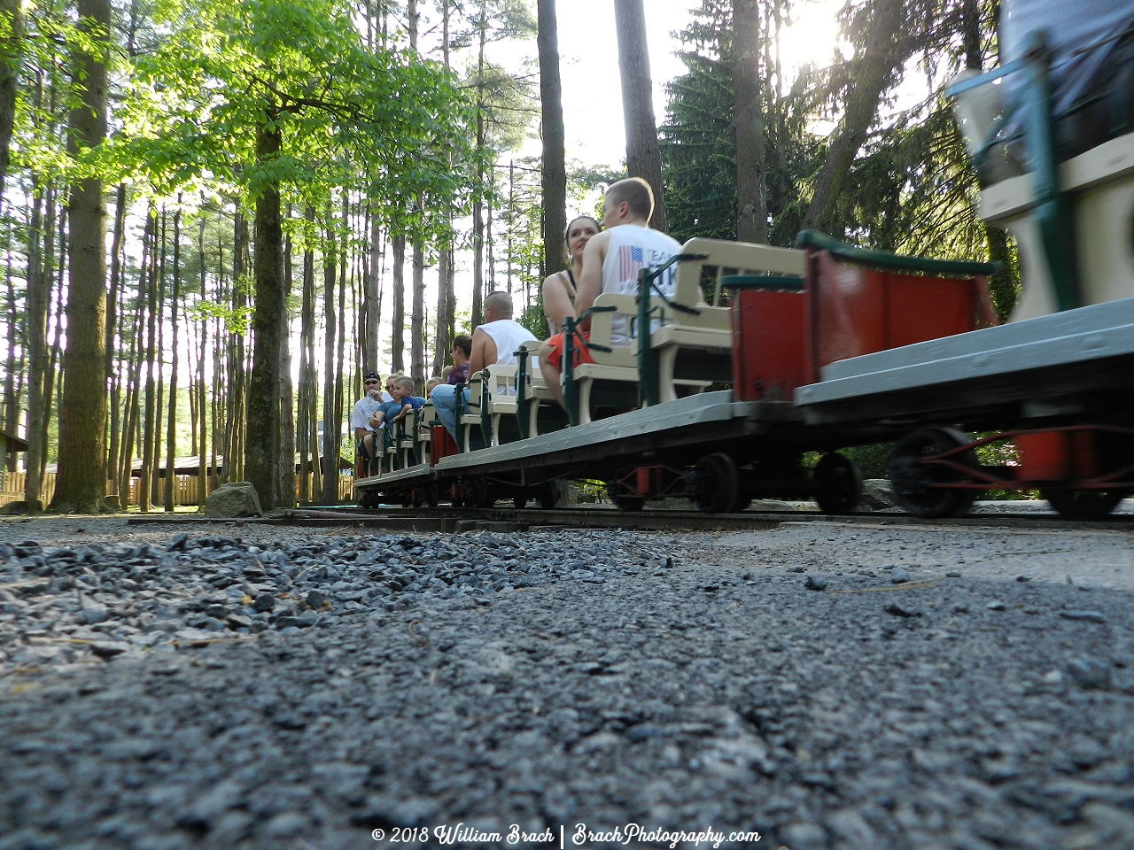 Train rolling by the crossing.