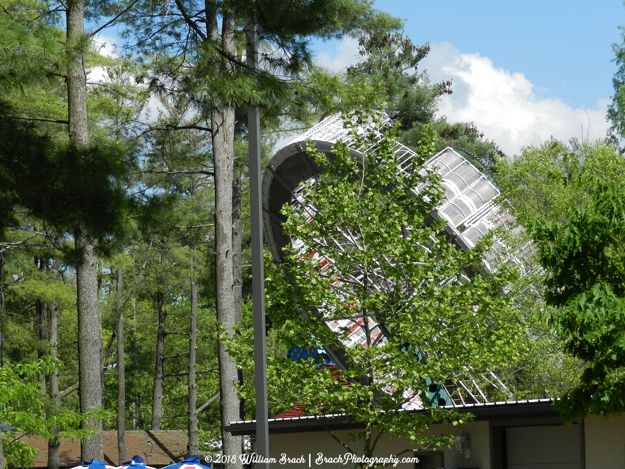 Round Up in action from the Eagle Encounters exhibit.