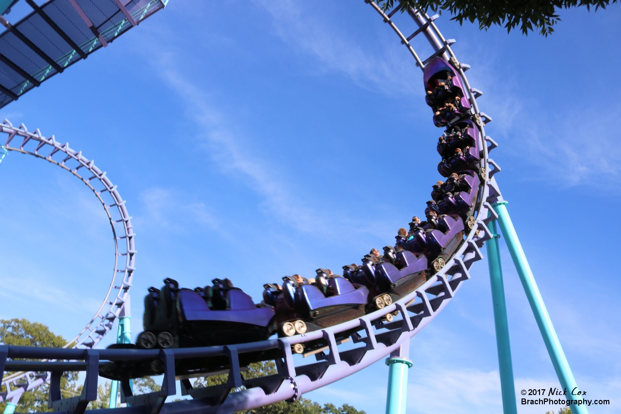 The train entering the cobra roll.