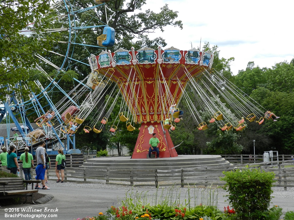 Chair Swings in motion.