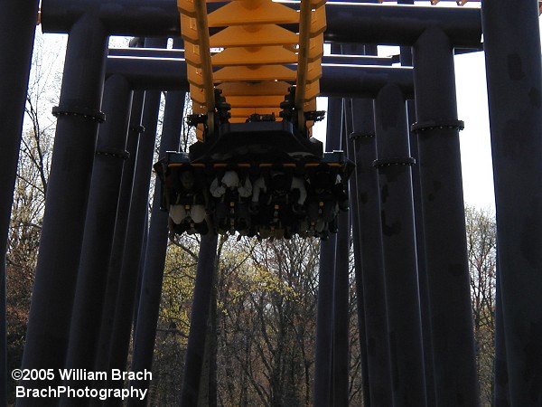 Batwing train running through the first drop.