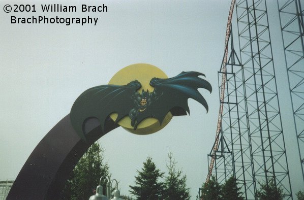 The sign that represent's Batman and his mighty wings.  Hence the name: Batwing.