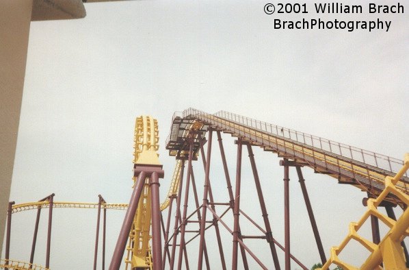 Lift hill and vertical loop.