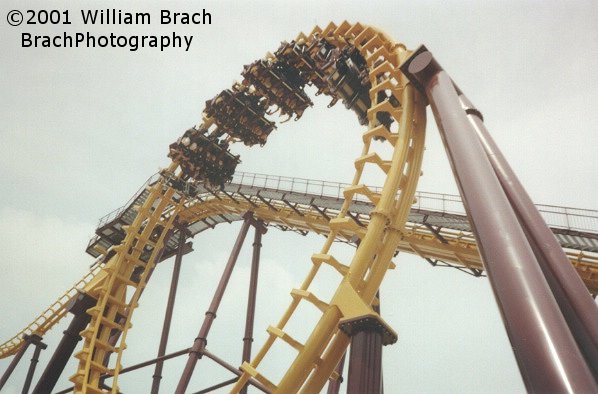 Batwing train with members of the press going through the vertical loop.