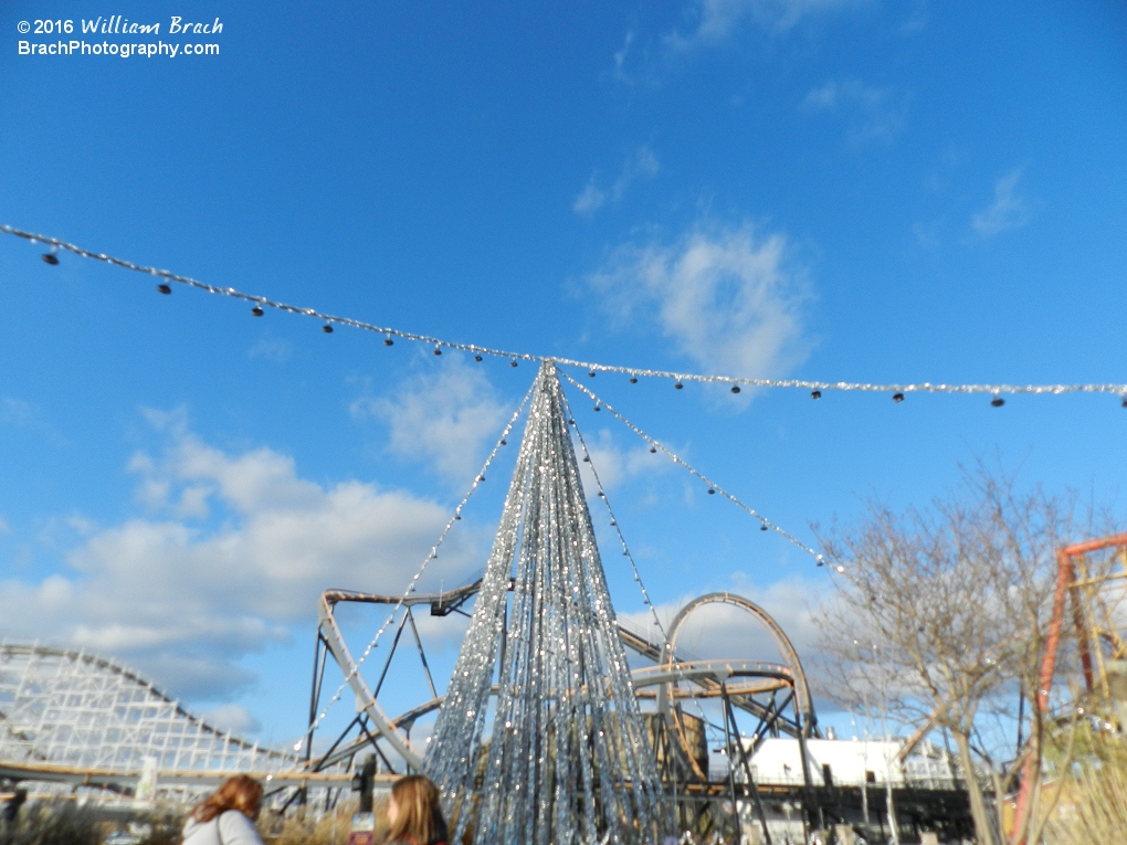 Silver Bells tree outside of Roar's entrance.