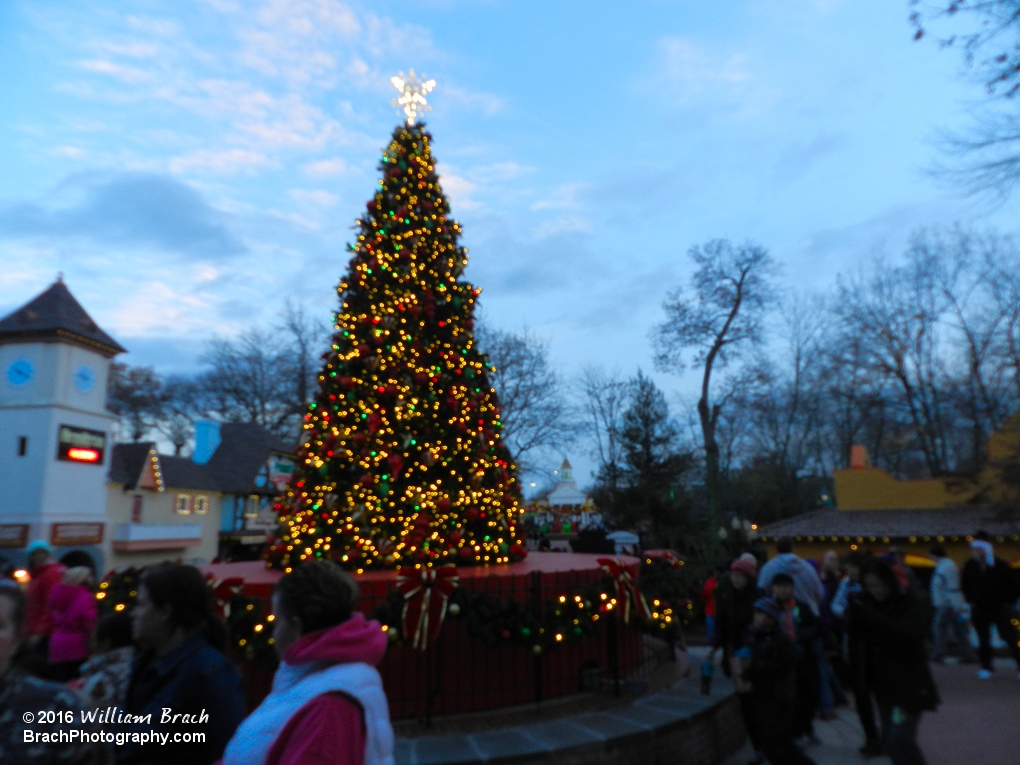 The tree infront of the Grand Theater near the front of the park.