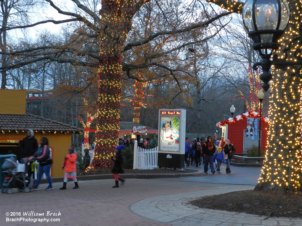 Red + White lights = Candy Canes!