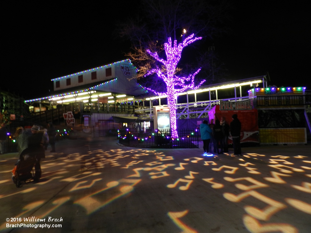 Check out the purple tree and music notes illuminated on the ground!