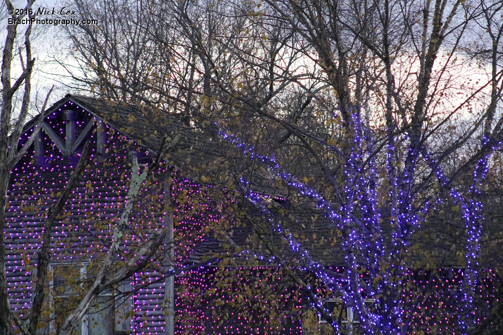 Holiday lights at SFA.