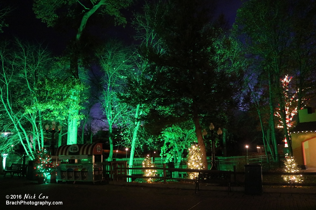 Holiday lights at SFA.