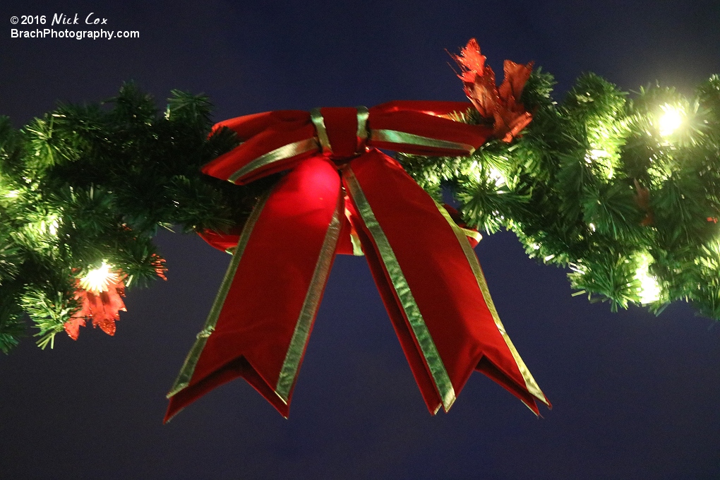 Holiday lights at SFA.