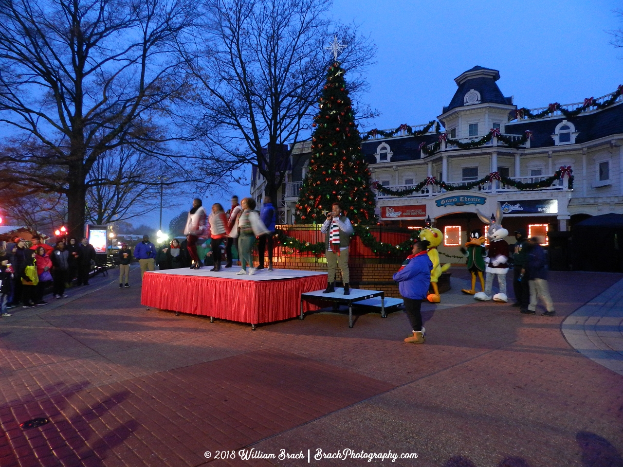 Time to light the big tree and turn on all the lights in the park!