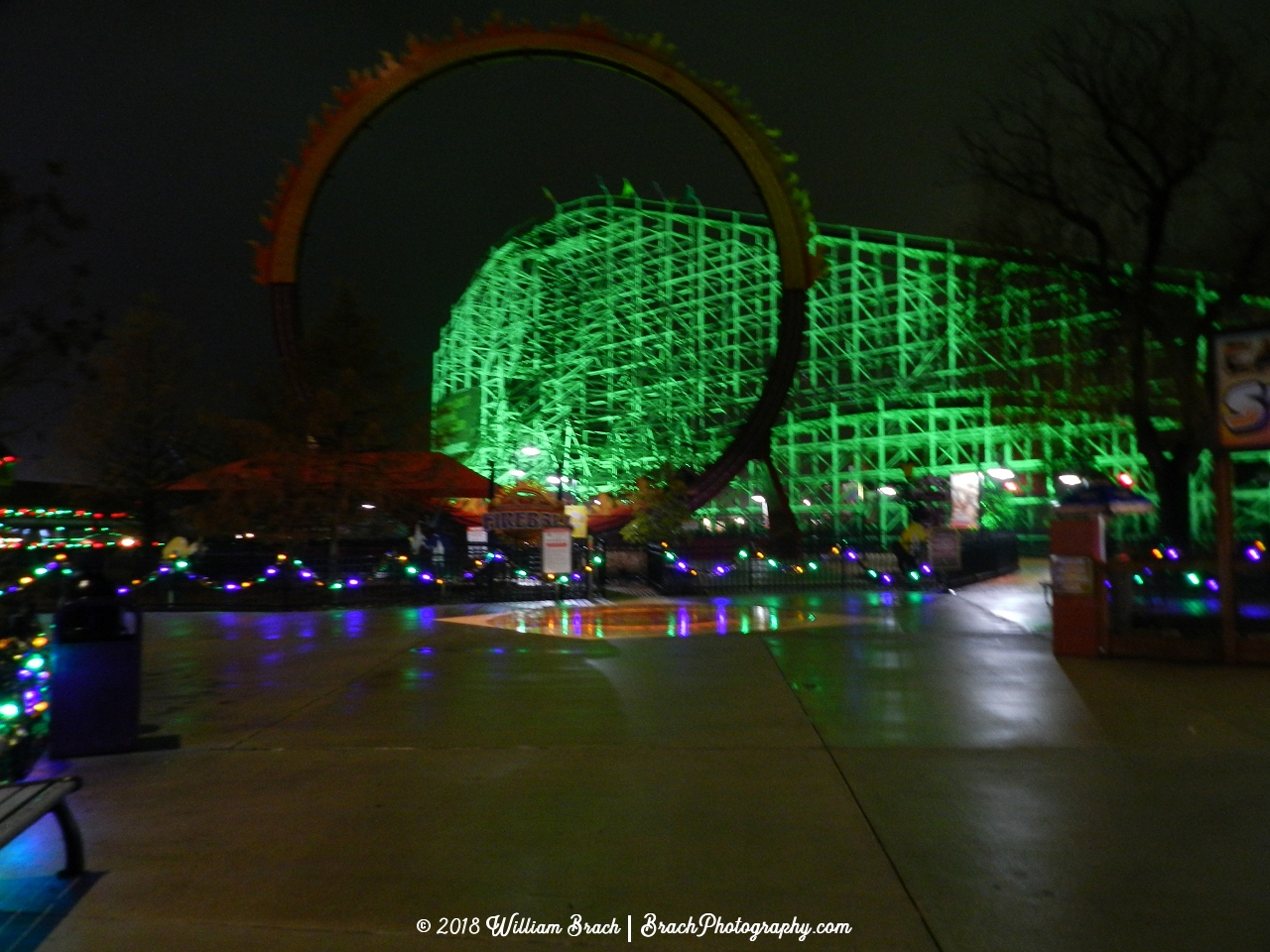 Very pretty colors on the garland and Wild One all it up in green lights.