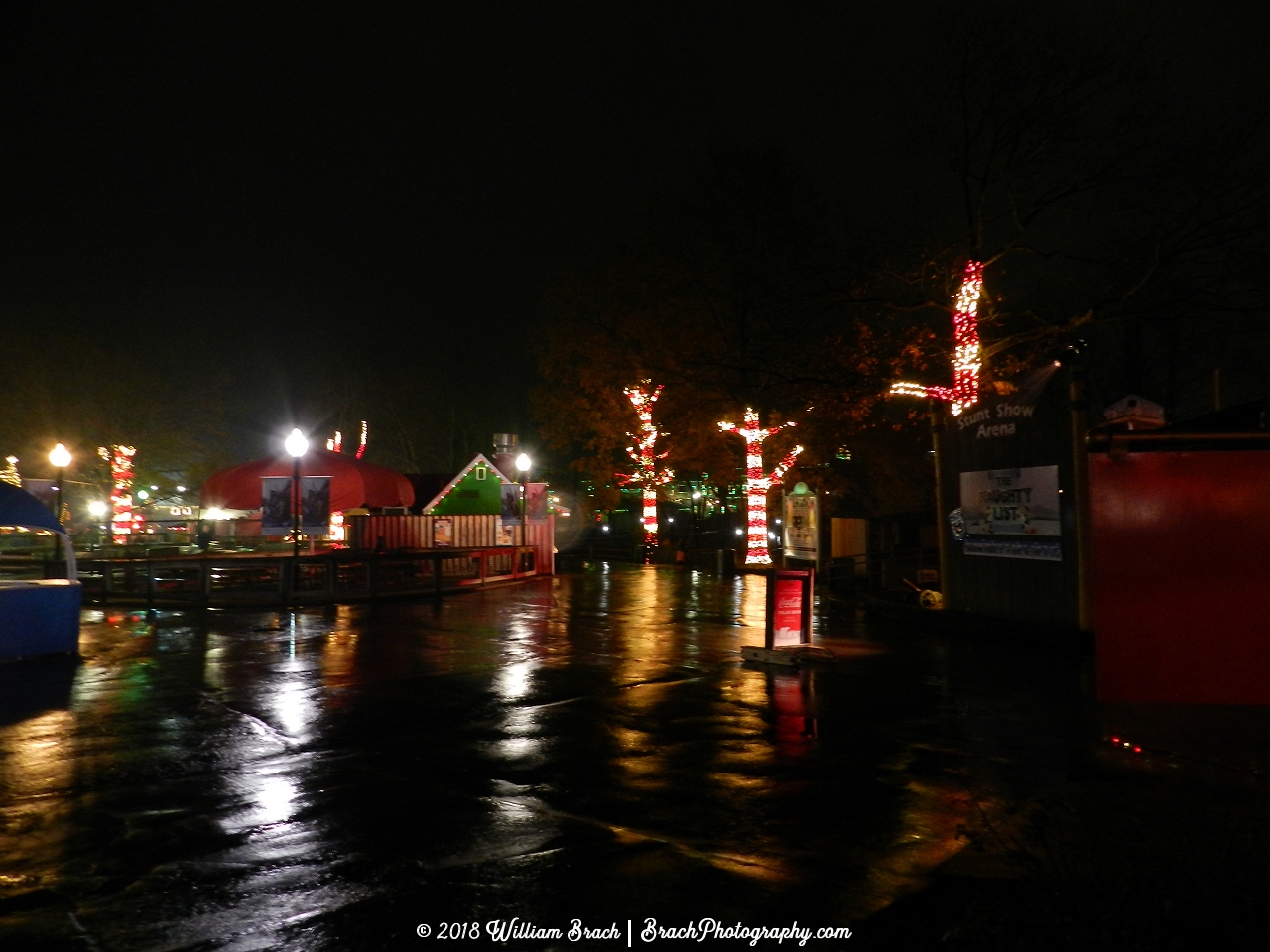 Candy Cane themed colored lights on trees in this part of the park.