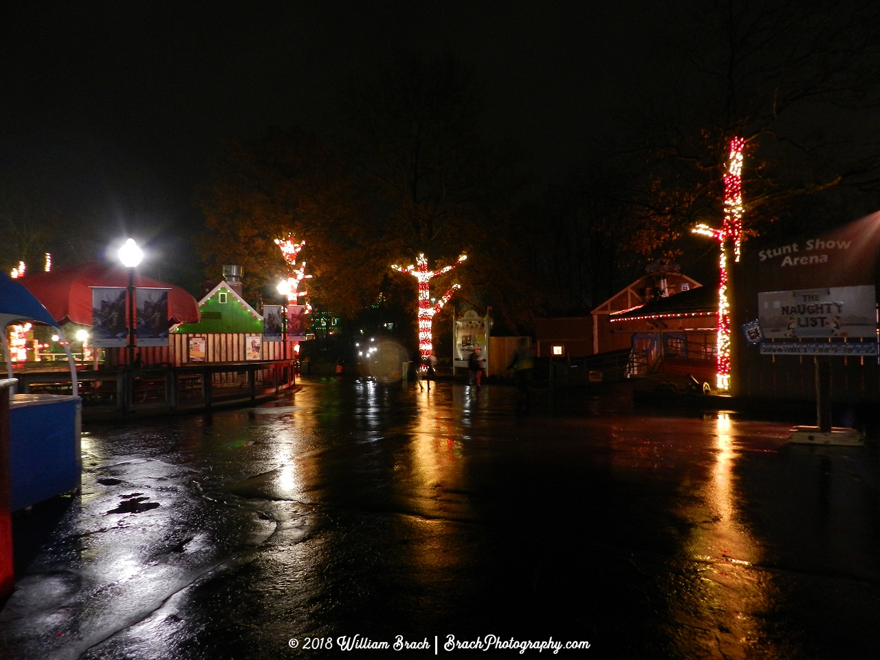 Candy Cane themed colored lights on trees in this part of the park.