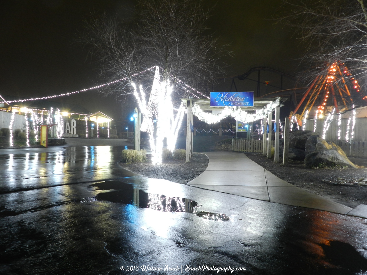 Mistletoe hangs from this walk-through attraction.  You have been warned!