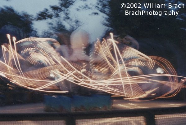 Octopus in motion at night.