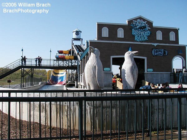 Concrete penguins as part of the theming for the Penguin's Blizzard River.