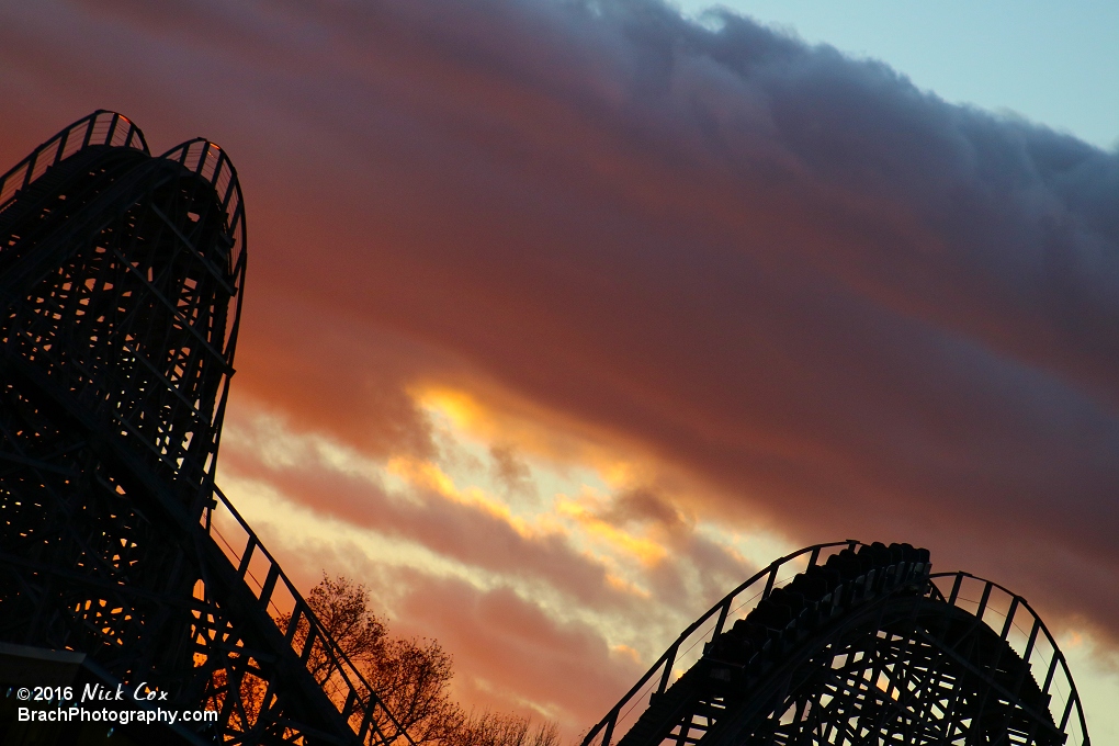 Roar at sunset.