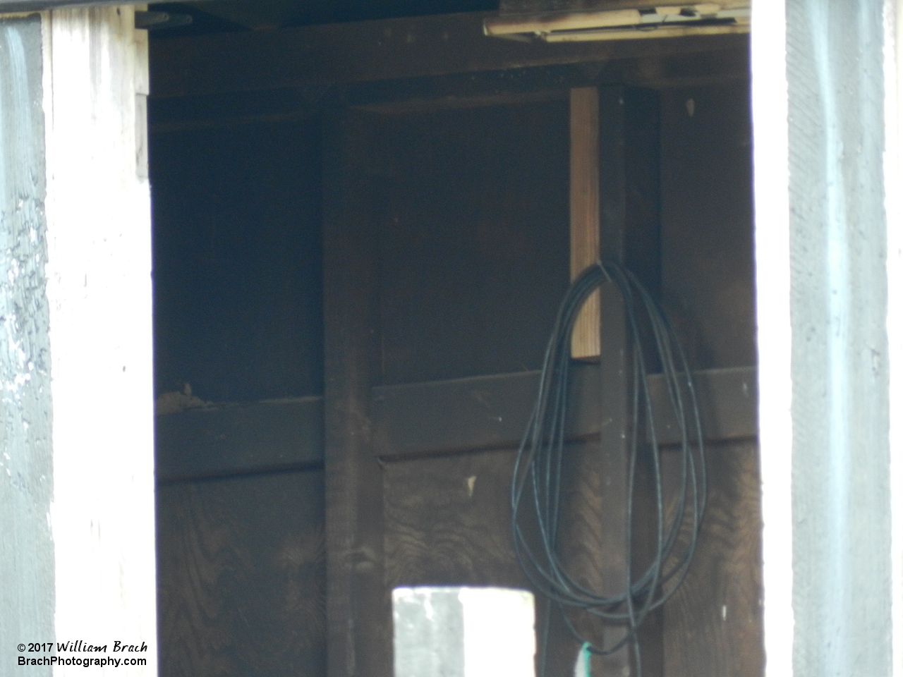 Peeking into one of the buildings from the stands and I think that's a long extension cord.