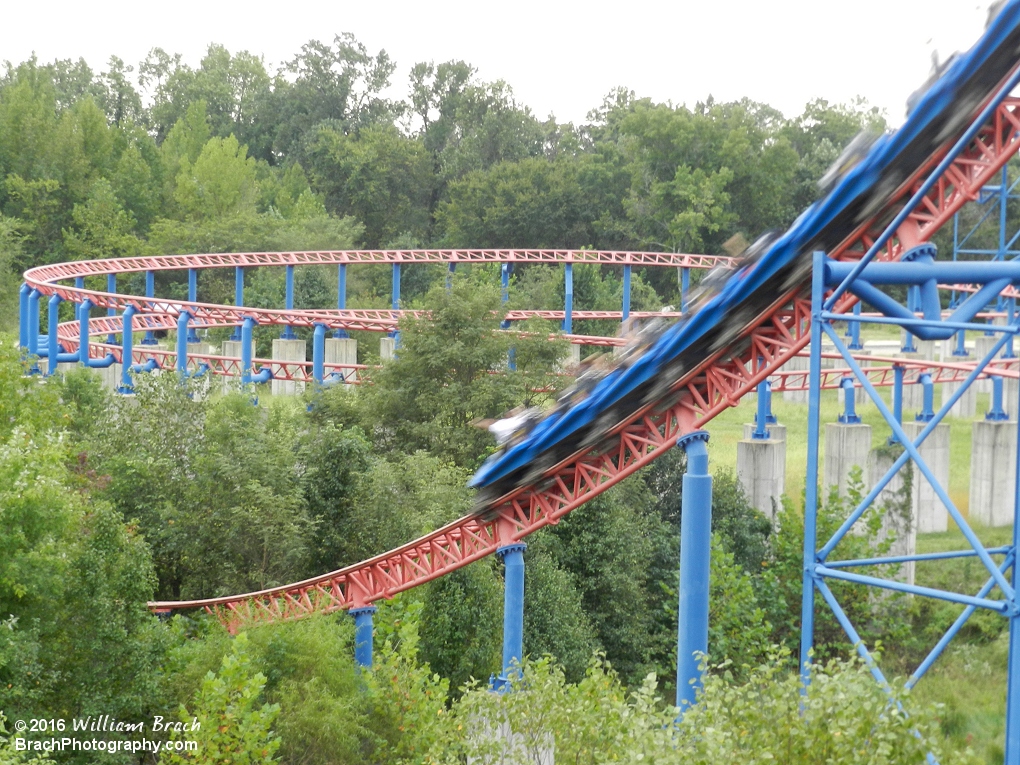 Blue train rushing down the first drop into an abyss of trees and brush.