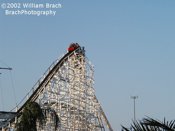 Wild One train cresting the lift hill.