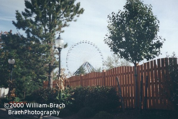 Looking through the trees, the Giant Wheel stands tall.