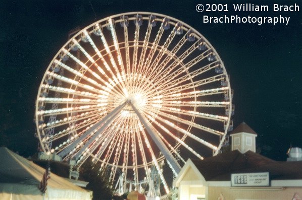 These lights have NOT changed since the ride was originally built in 1982 at the World's Fair in Knoxville, Tennessee.  This ride is long overdue for a new LED lighting package.