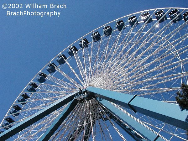 Great view of the Giant Wheel at Darien Lake.