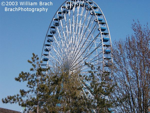 This is the 2nd home for this Giant Wheel.  The wheel made its debut in 1982 at the World's Fair in Knoxville, Tennessee.  It was moved to Darien Lake in 1983.