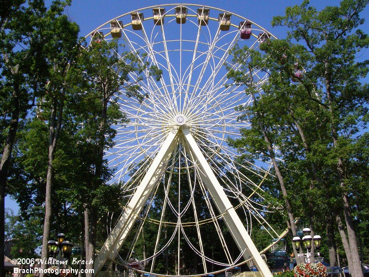 Six Flags Great Adventure's ferris wheel.  Huge isn't it?