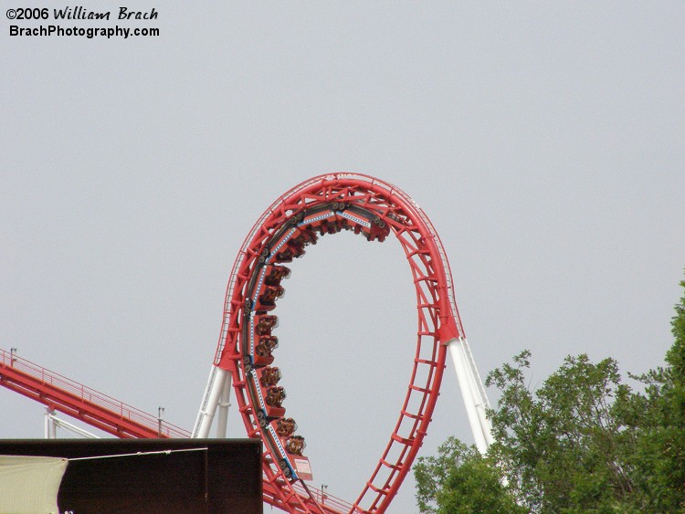 Red train running one of the two vertical loops that Great American Scream Machine had.