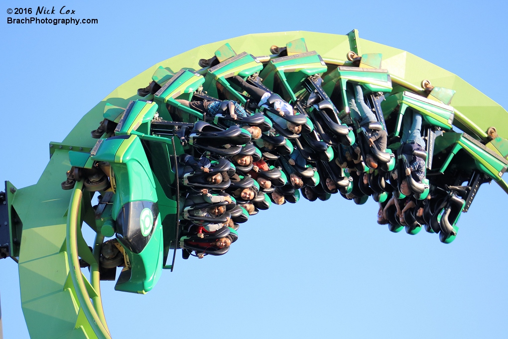 The green corkscrew.