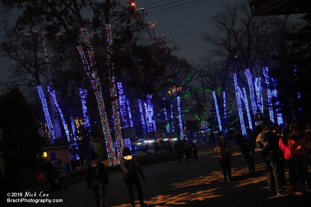 Lights from Holiday in the Park.