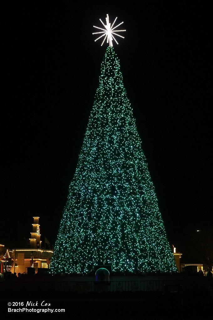 A giant Christmas tree in the front of the park.