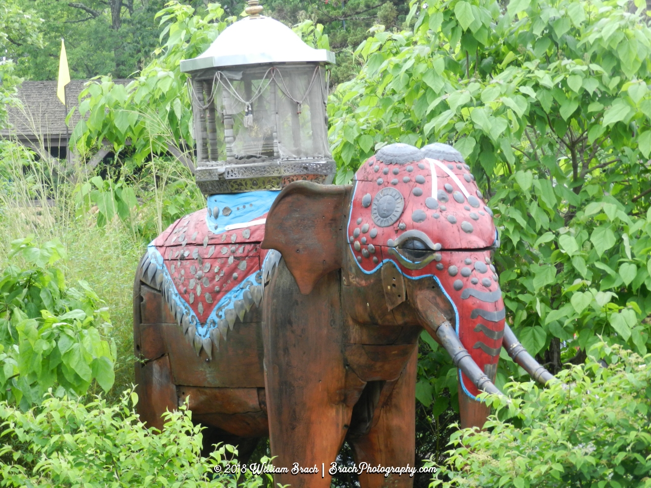 Beautiful cedar elephant.