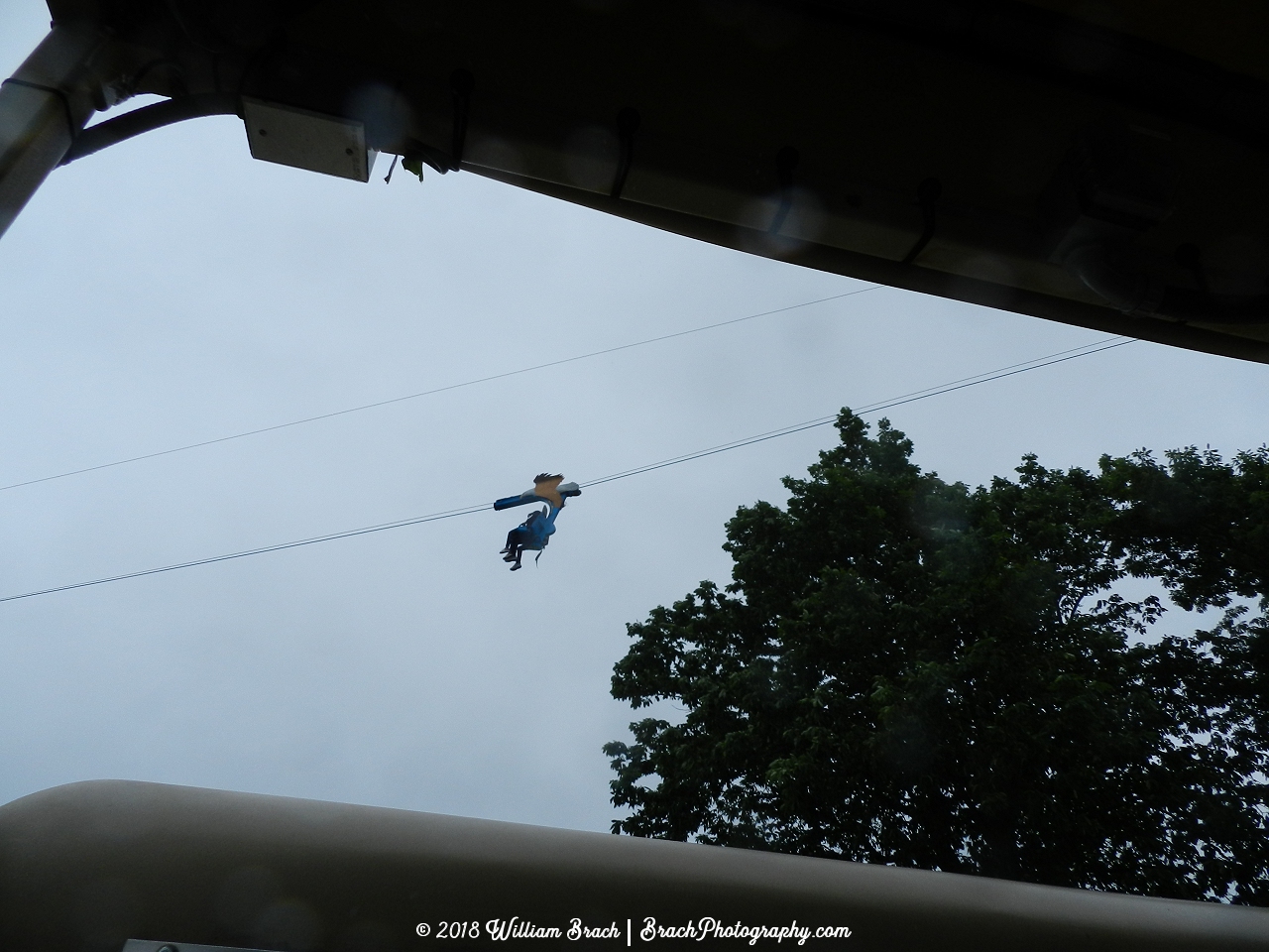 Stanley Checketts zainy creation of the Zipline attraction seen in action here at Camp Adventura.