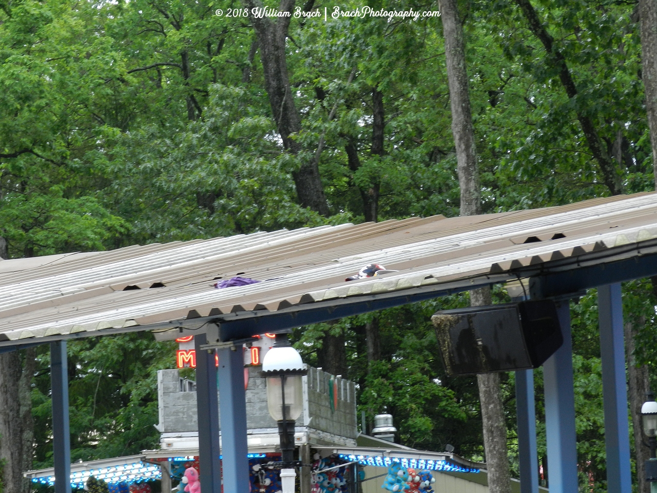 More lost items found on the roof of the queue line.