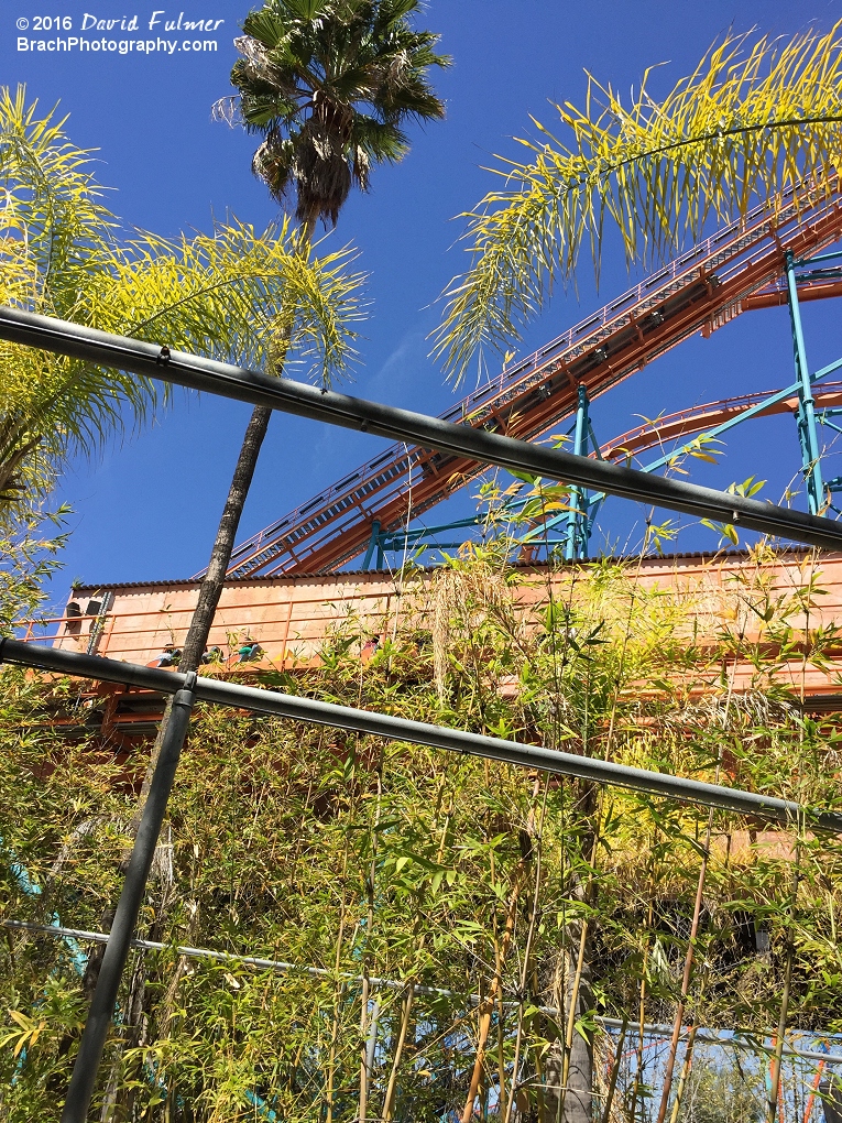 Looking at Goliath's lift hill.