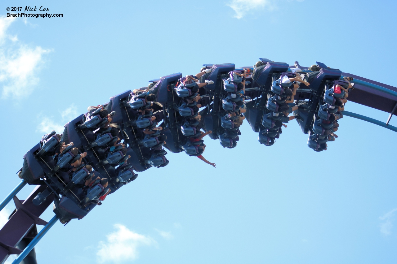 The train in the dive loop.