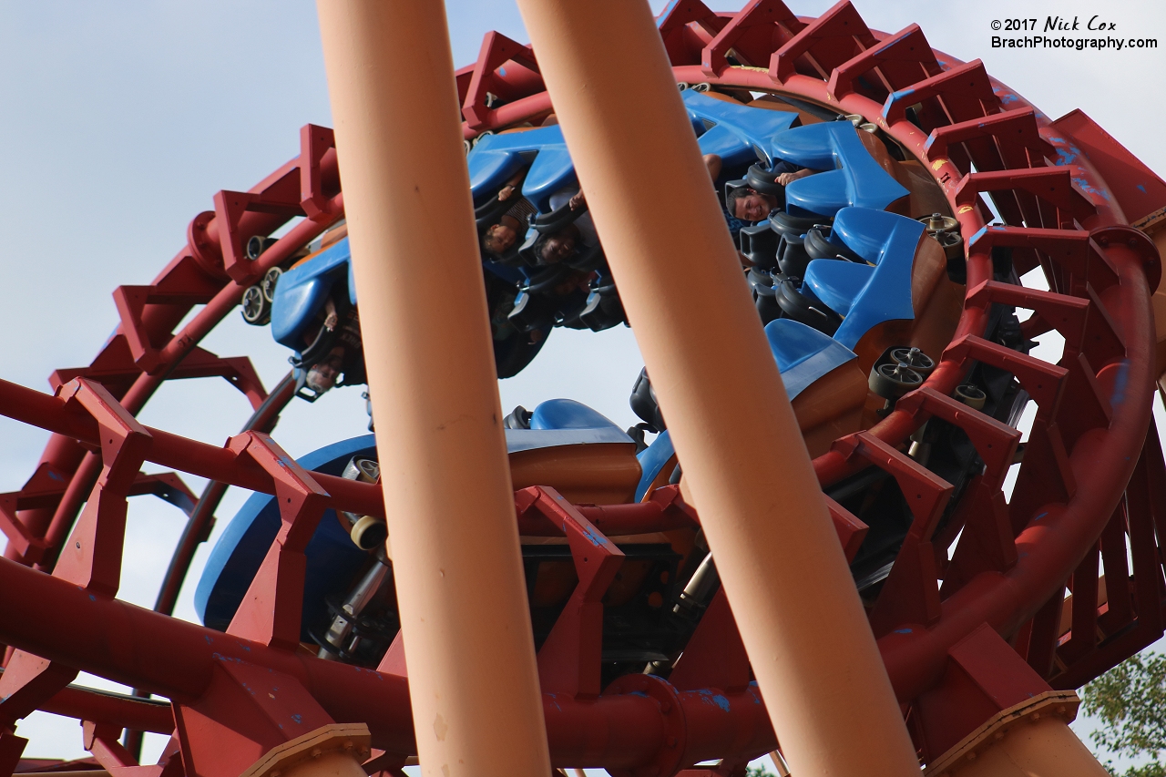 The whole train in the cobra roll's structure.