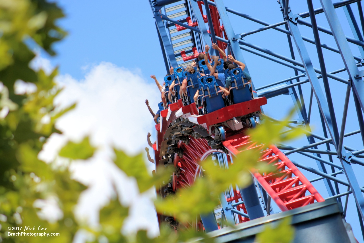 The train flying over a tree.